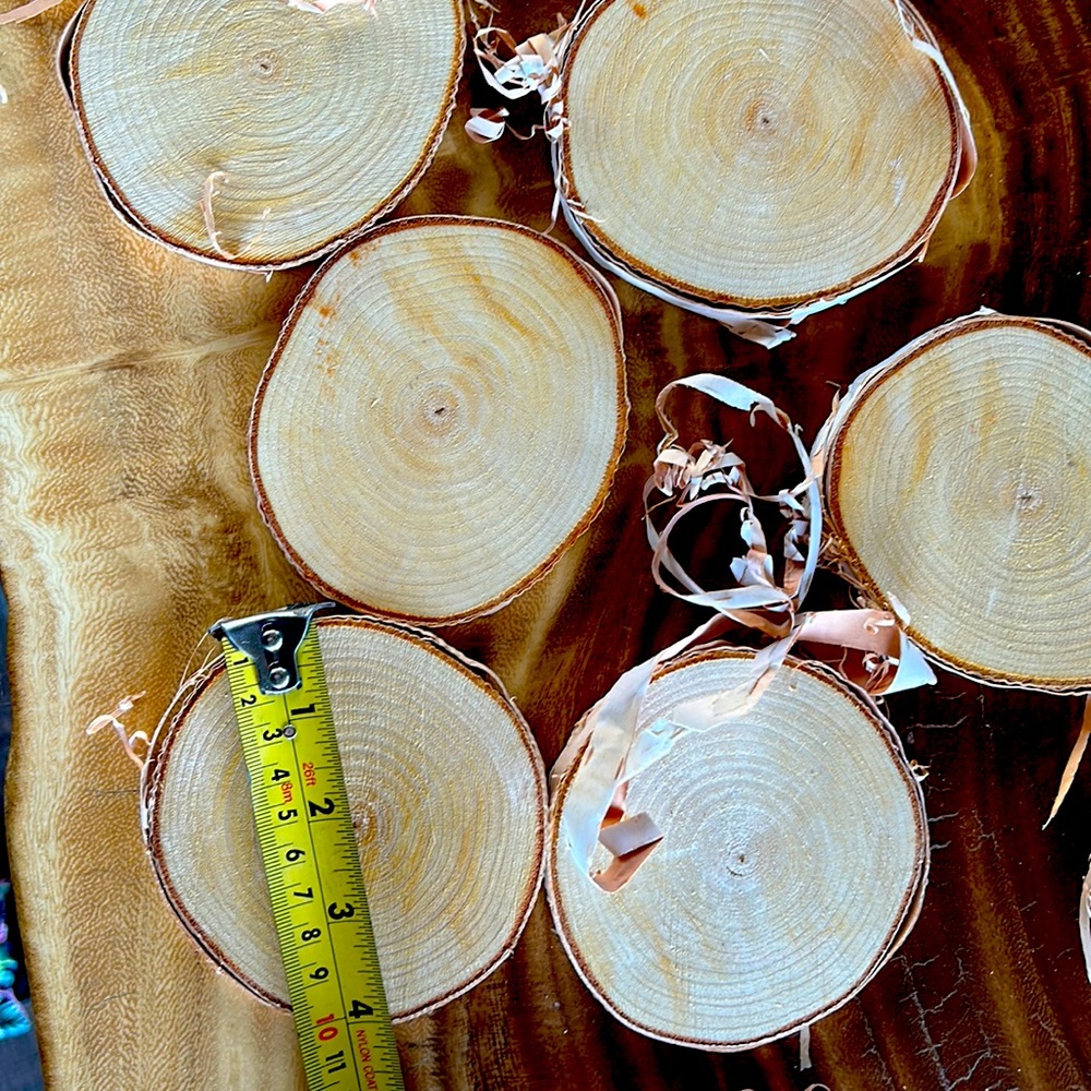 Birch tree slices